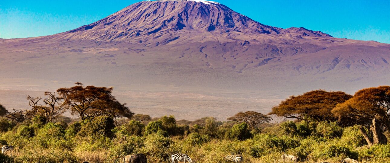 Kilimanjaro