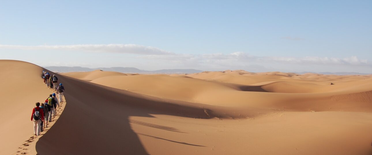 Sahara tourists