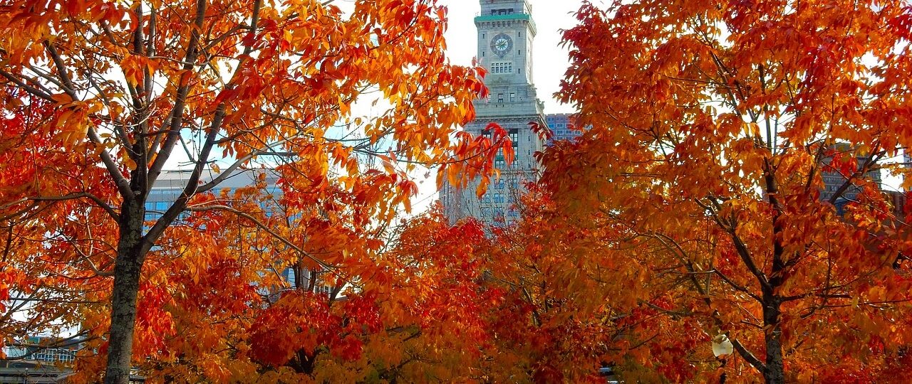 Boston Fall