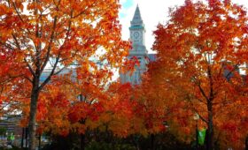 Boston Fall
